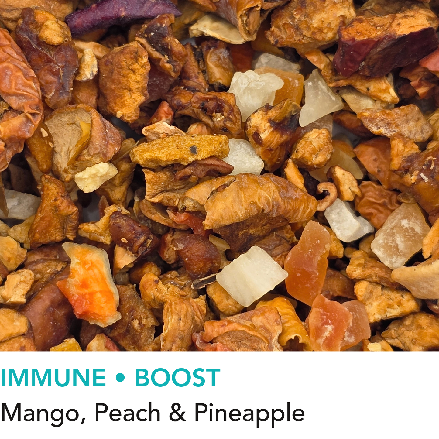 Tropical Wanderlust - Wholesale