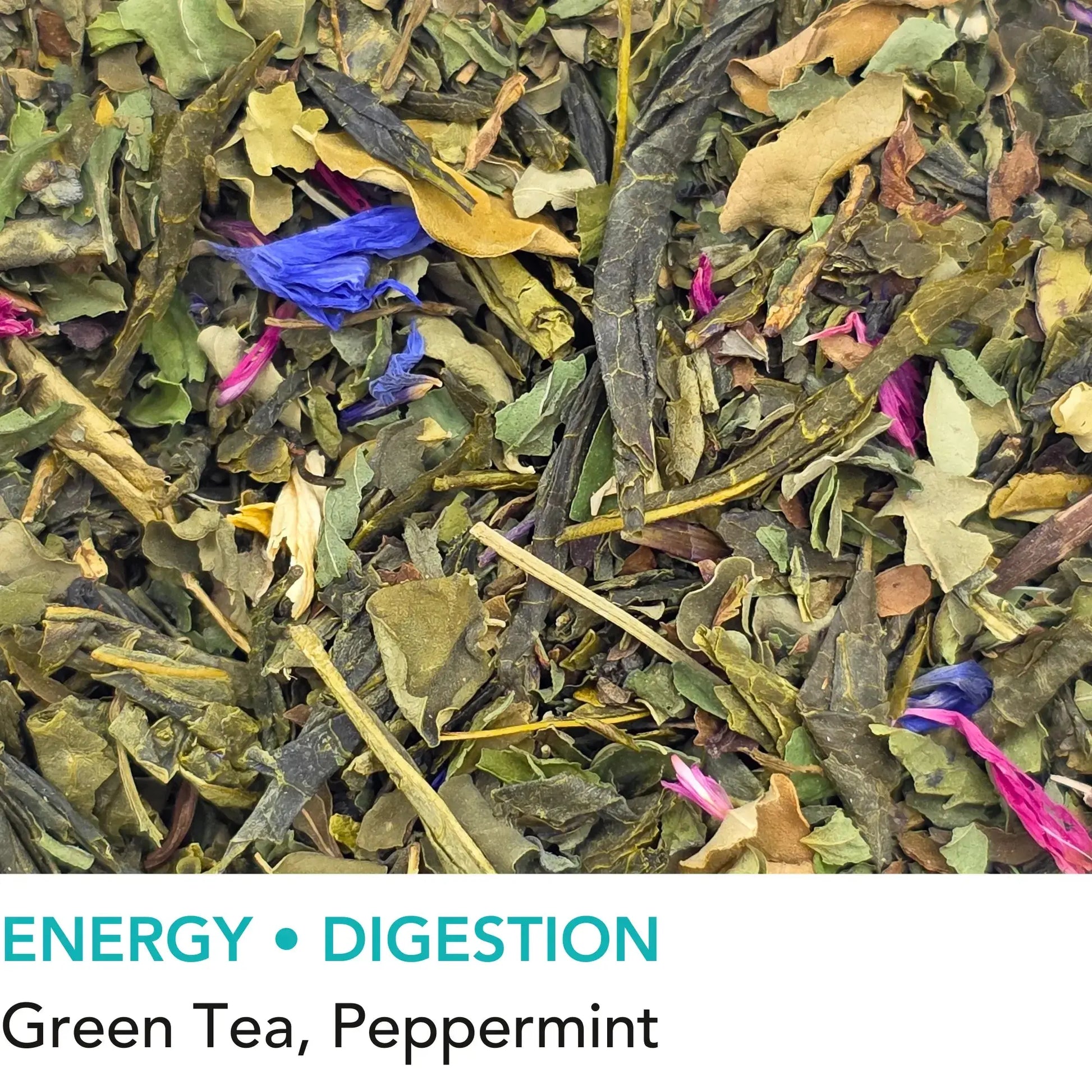 Serene Oasis green loose leaf tea with moringa leaves and spearmint from Wander Cuppa. This premium tea is an energising Scottish blend crafted for focus, featuring high-quality green tea and peppermint. As a wholesale tea supplier UK, we provide this vegan tea and full leaf tea for cafes and retail across Scotland and the UK. A refreshing cup of tea or cuppa tea perfect for afternoon tea or any time of day. High-grade loose leaf tea near me with cornflower and sunflower blossoms.